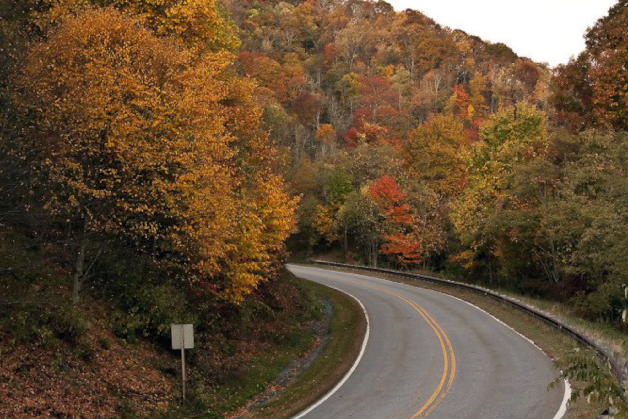 Canossa Fall Rally Chattanooga: a vibrant and invigorating terrain for car enthusiasts