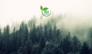 Canossa is now ISO 14001 certified!